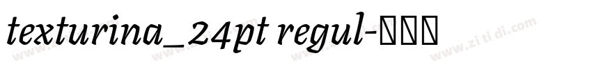 texturina_24pt regul字体转换 texturina_24pt regul字体转换